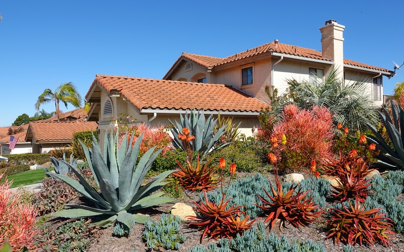Hot Shot Sprinkler Repair & Landscape are experts at desert landscaping.