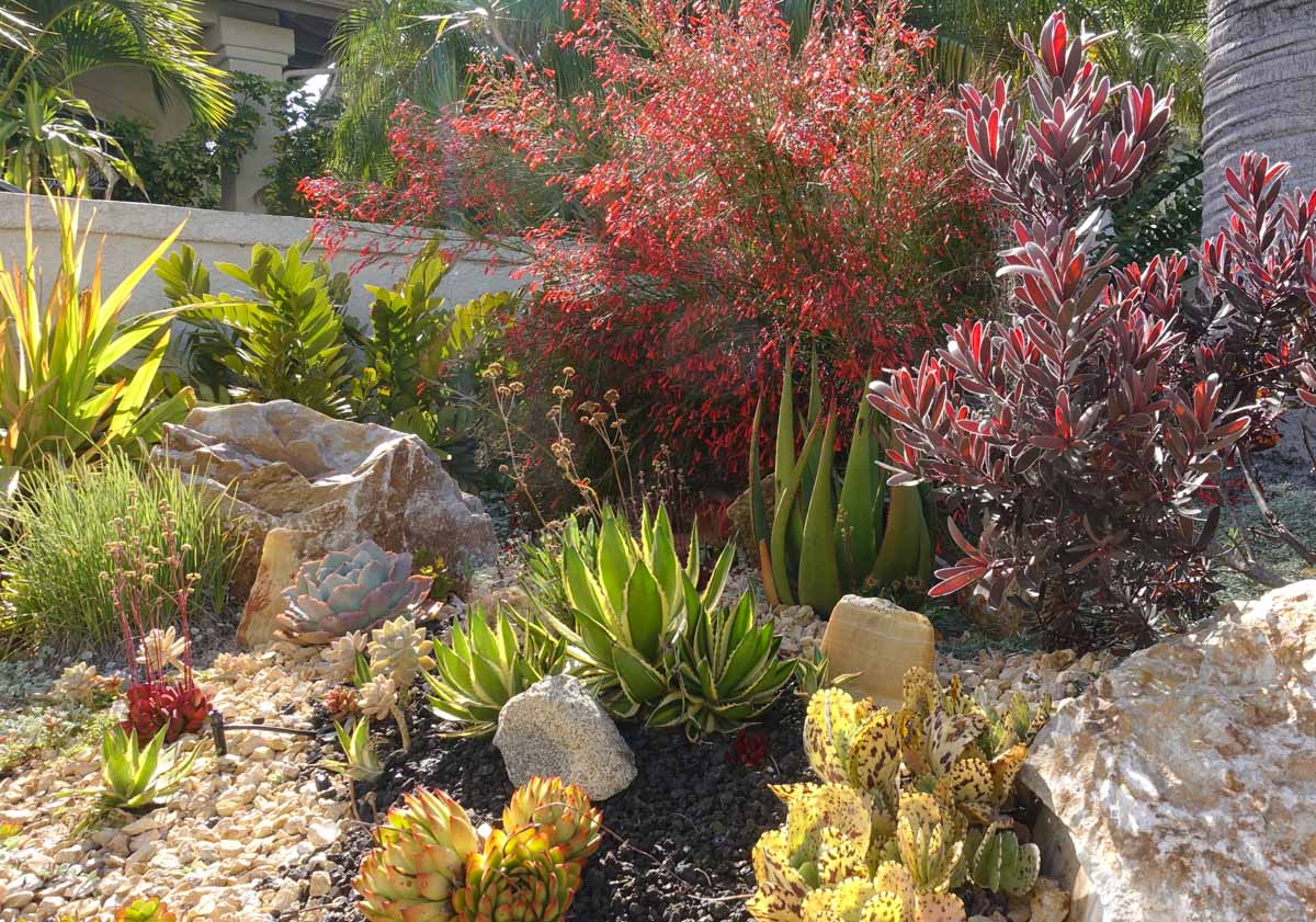A lovely desert landscaped yard ready for everyone to enjoy - services provided by Hot Shot Sprinkler Repair & Landscape.