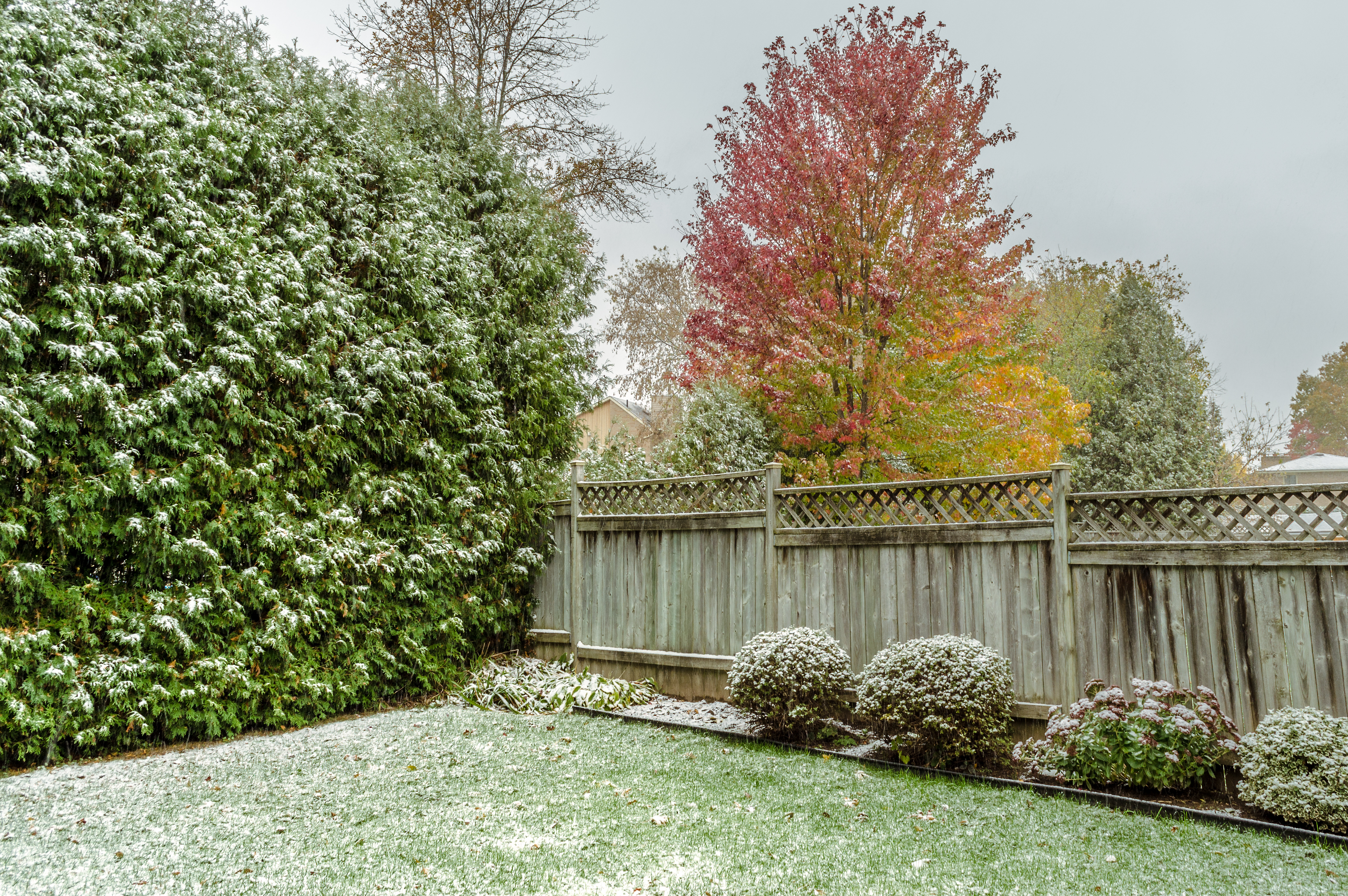 4 Ways to Prepare Your Yard for Winter in Draper, UT