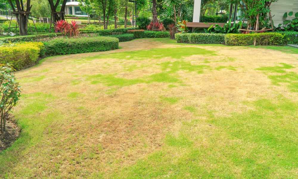 A lawn covered with several dry patches of grass, resolve your coverage issues with Hot Shot Sprinkler Repair & Landscape sprinkler services in Farmington. 