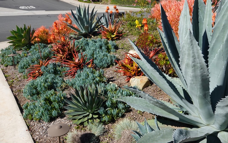 Localscaping can help your yard be evironmentally friendly - contact Hot Shot Sprinkler Repair, Landscape SLC today for services.
