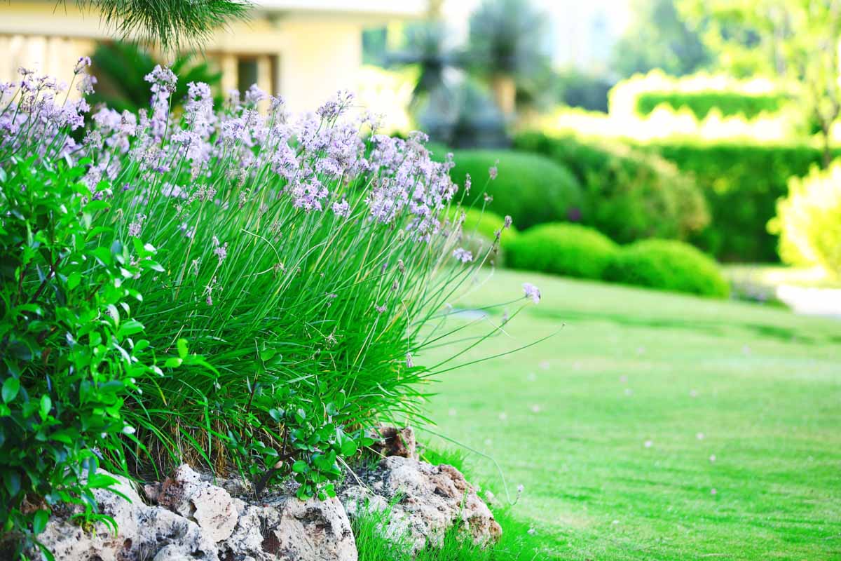 A beautiful shot of landscaped property with Hot Shot Sprinkler Repair & Landscape - Draper