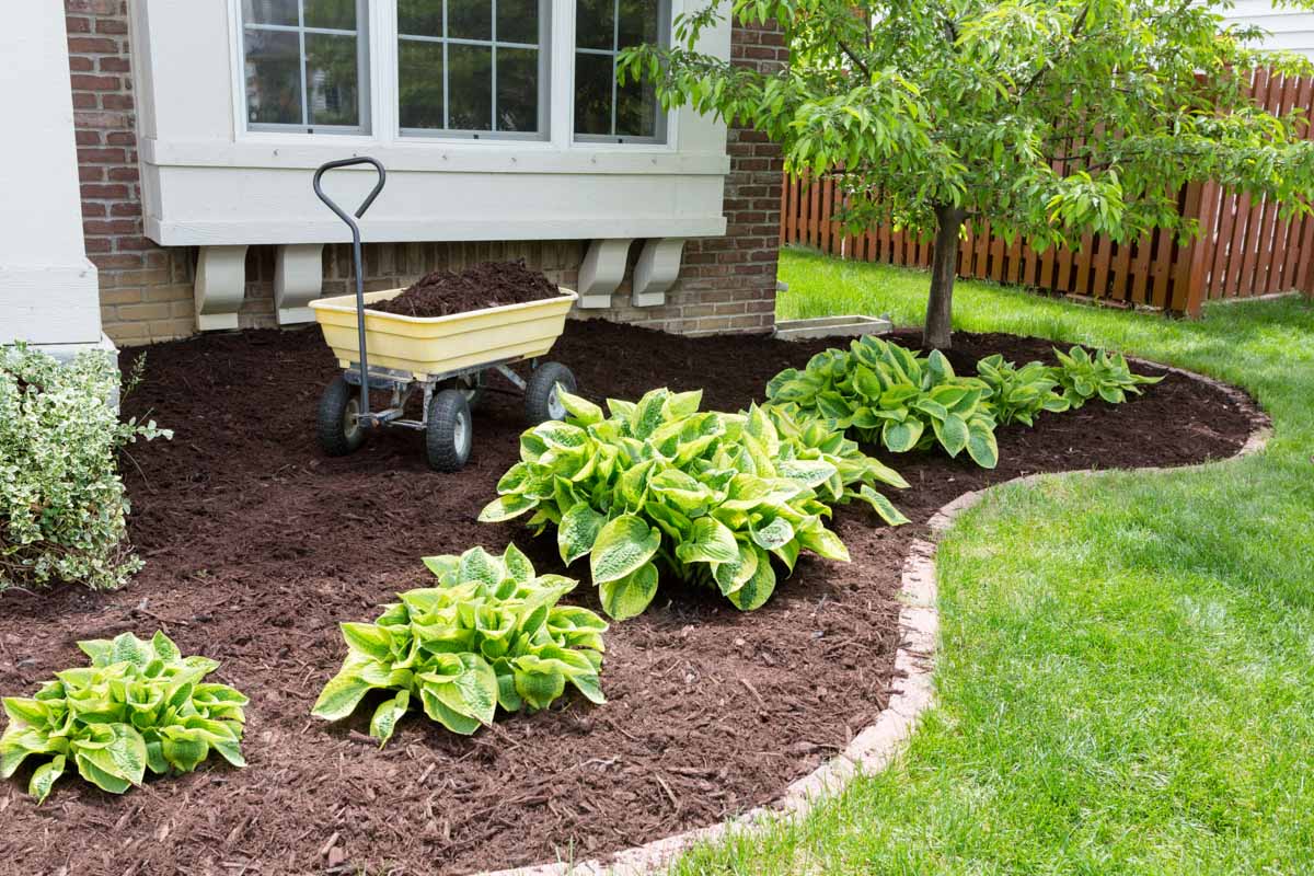 Residential home with freshly mulched flower beds.