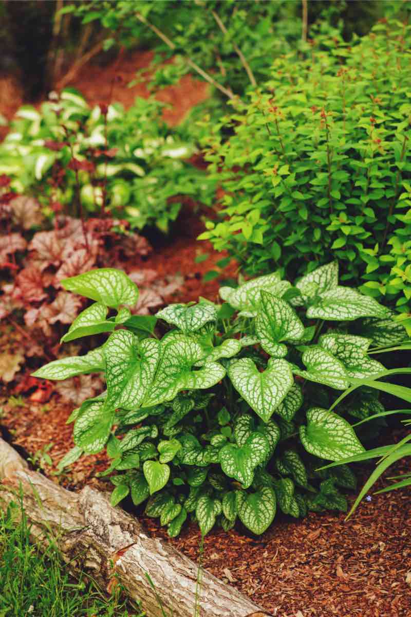 Yard with beautiful mulching in Utah County thanks to Hot Shot Sprinkler Repair & Landscape.