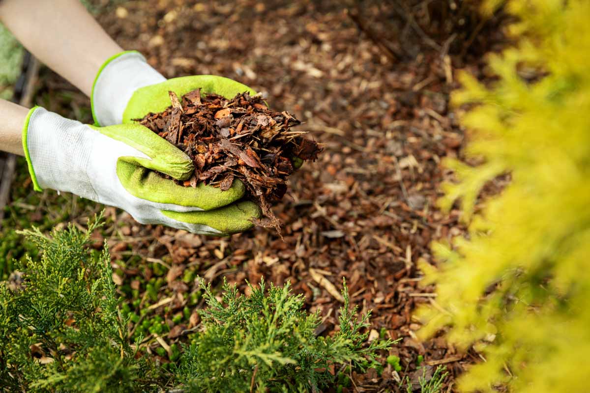 Mulching services provided by Hot Shot Sprinkler Repair & Landscape landscaping companies in Utah.