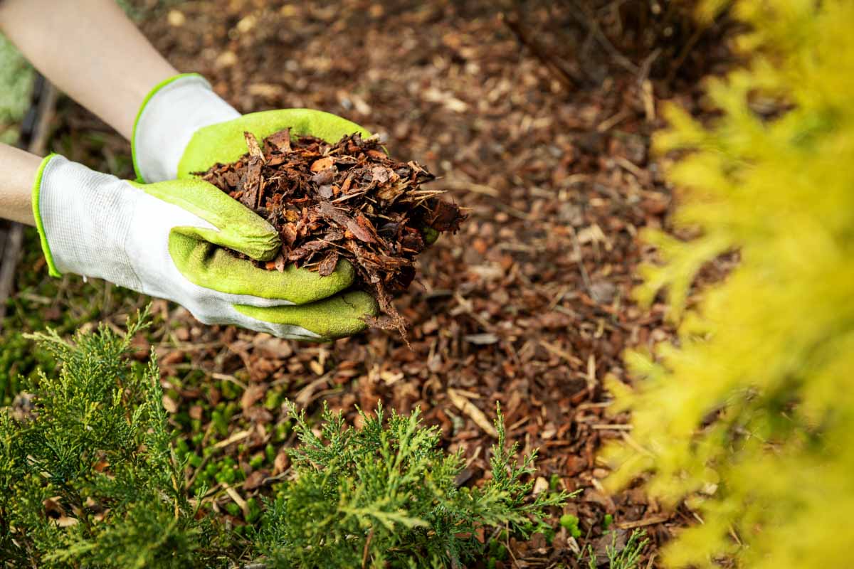 mulching services in Farmington