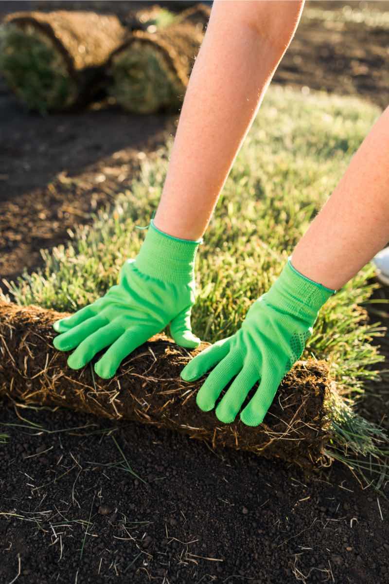 A Hot Shot professional doing sod installation in Draper, UT.