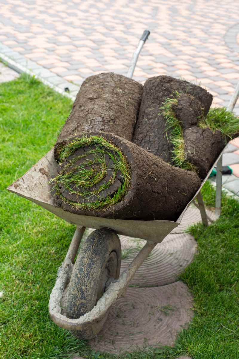 Sod installation services with Hot Shot Sprinkler Repair & Landscape