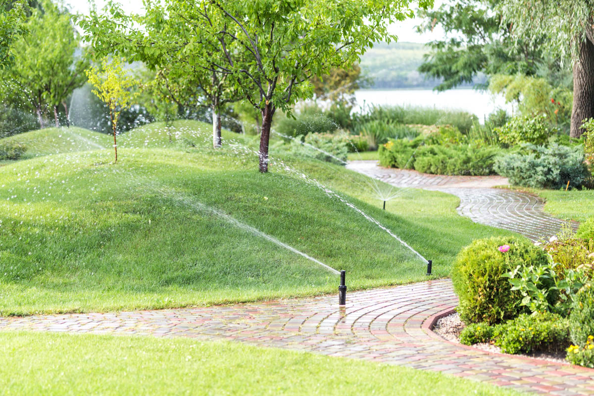 Beautiful lawn with stone pathway landscaping from Hot Shot Sprinkler Repair & Landscape.