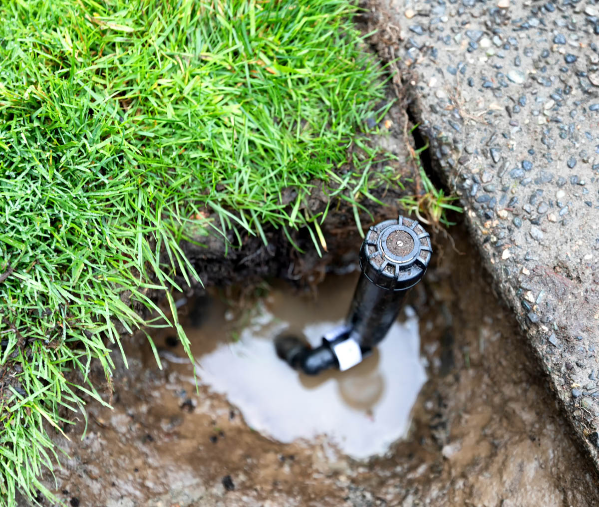 Hot Shot Sprinkler Repair & Landscape installing sprinklers in a lawn.