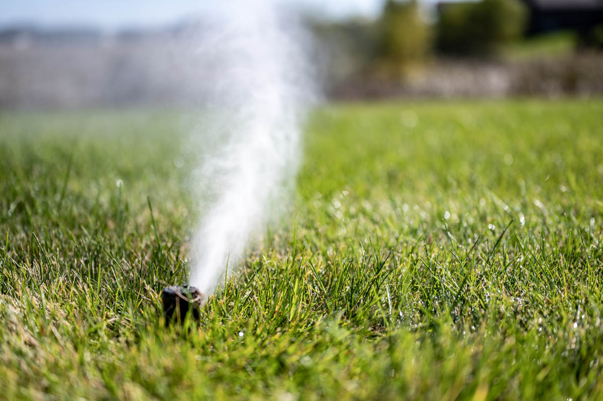 A sprinkler spraying water into a green yard, sprinkler winterization in Utah is essential to prevent breaks.